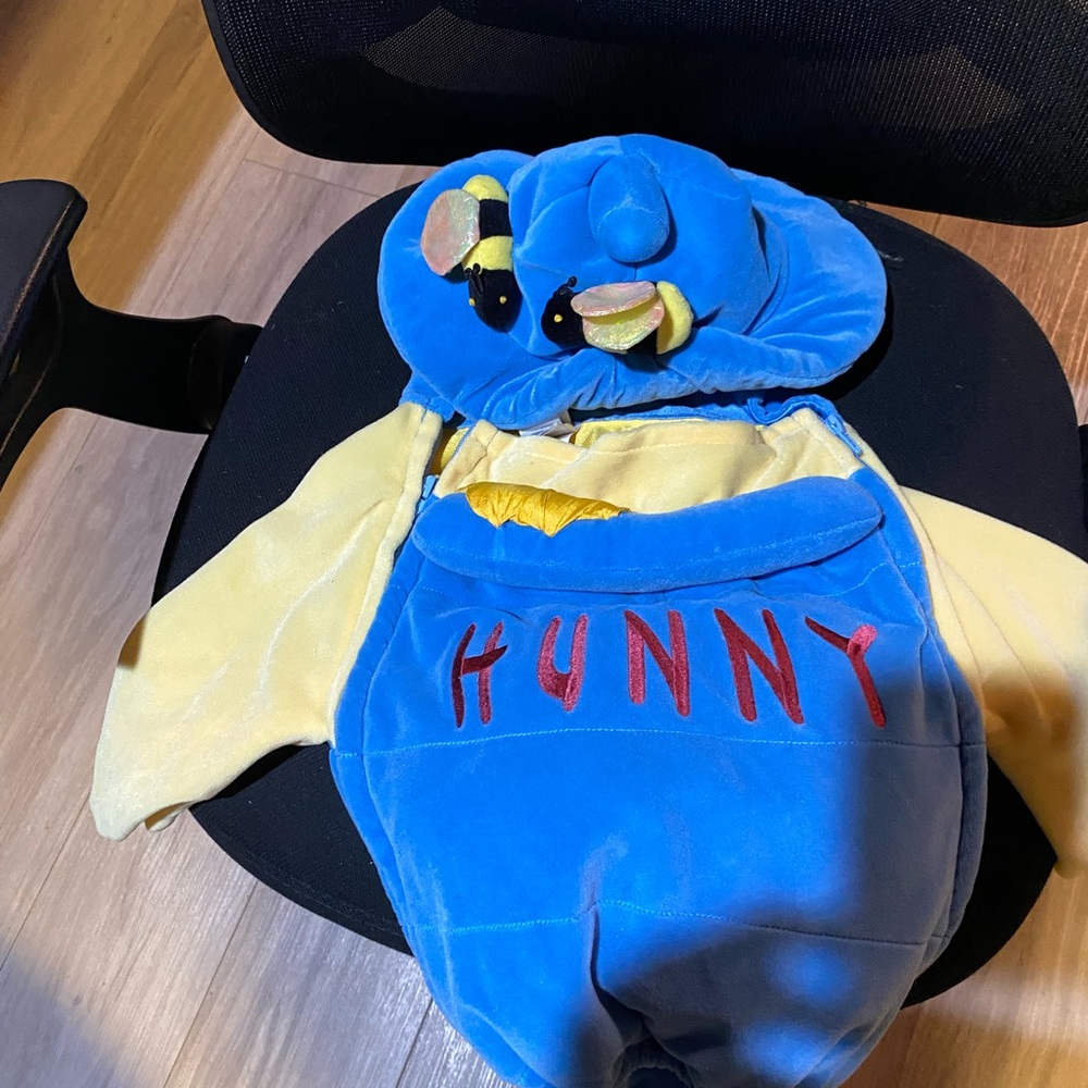 The Disney store 6 to 12 month HUNNY pot. Costume.